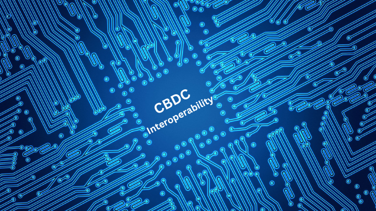 Understanding CBDCs and Their Technical Interplay
